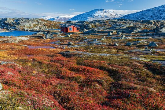 Holiday cabin in Fjell, autumn colours, snowy mountains, autumn, Bjornfjell, Narvik, Norway, Europe