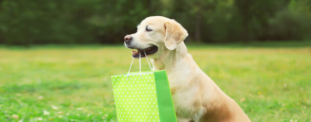 Happy Golden Retriever dog holding green shopping bag in the teeth in park