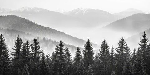 Forest misty landscape Generative AI