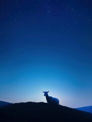 Quiet contemplation: A lone sheep savors the tranquility of the night on a hill during Eid ul Adha and copy space - generative ai - obrazy, fototapety, plakaty