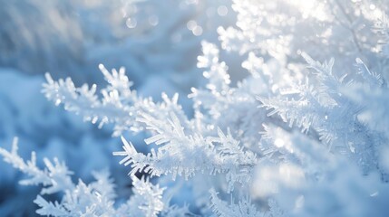 Close Up of Snow Flakes on Sunny Day