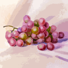 Vector watercolor illustration of grape fruit