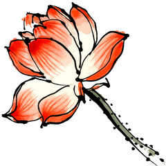 Vector watercolor illustration of lotus flower composition. Chinese ink and wash painting