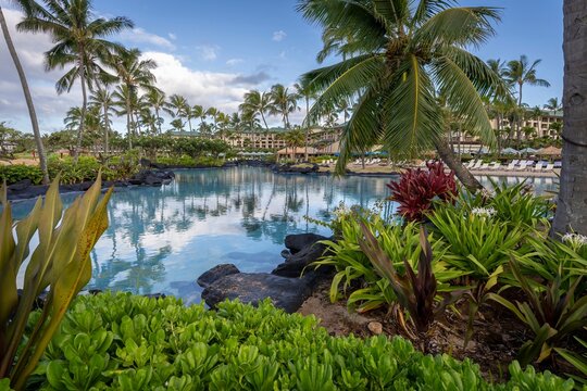 Palm trees reflect in the beautiful turquoise water of one of the luxurious swimming pools at the Grand Hyatt Kauai Resort and Spa in Koloa, Hawaii.