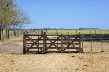 Rustic Wooden Gate Amid Vast Pasture Under a Clear Blue Sky