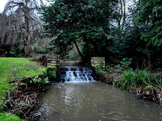 Tranquil Waters: A Serene Woodland Stream - 775433117