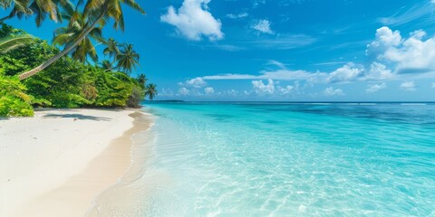 A beautiful beach with a palm tree in the background. The water is calm and clear, and the sky is blue with some clouds. The scene is peaceful and relaxing, perfect for a day at the beach