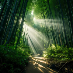 A tranquil bamboo forest with sunlight filtering through the leaves