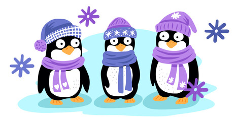 Penguins in a hat . Funny animals in flat illustration style