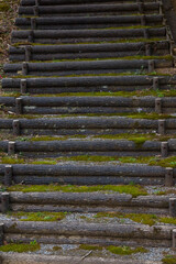 公園の通路や階段の風景 鳥取県 布勢運動公園