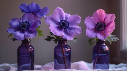   Three purple vases with flowers sit on a white cloth against a window sill background