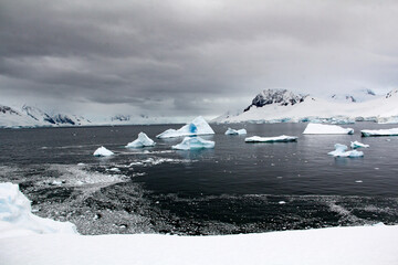 antarctic