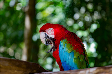 Bonito - MS - Brazil