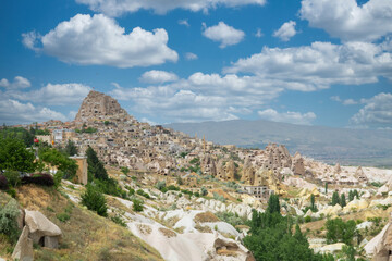 Fototapeta na wymiar Cappadocia landscape of large stones and trees. Turkey. 
