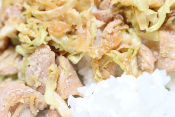 rice with chicken. chicken meal with cabbage and rice. meal with selective focus.