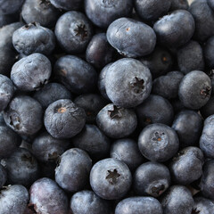 blueberries close up. blueberry background. group of blueberries.
