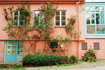 Fototapeta na wymiar ピンク色の外壁につたってる植物