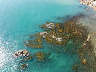 Aerial photography of seaweed on the coast of Qizi Bay, Changjiang, Hainan, China