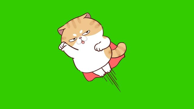 fly cat  animation on green screen