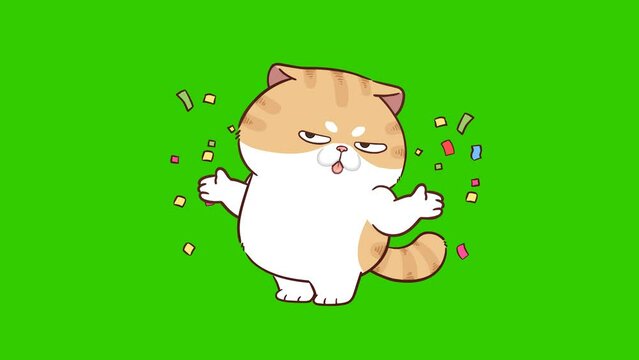 Funny cat  animation on green screen
