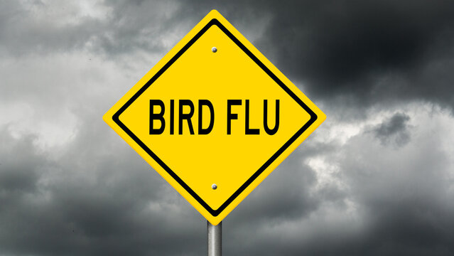 Yellow diamond-shaped highway sign warning of BIRD FLU