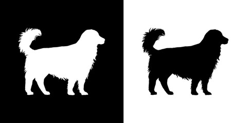 Animal icon. Animal silhouette icon. Black line icon. Black icon. Icon set