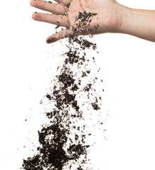 Soil dirt white rice mix in hand. Rice soil fertilizer abstract cloud fly. Soil mix jasmine rice planting splash stop in air. white background isolated high speed freeze motion