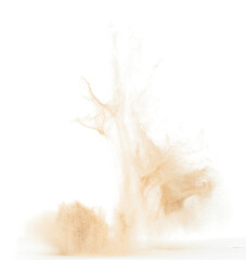 Small Fine size Sand flying explosion, Golden grain wave explode. Abstract cloud fly. Yellow colored sand splash throwing in Air. White background Isolated high speed shutter throwing freeze stop