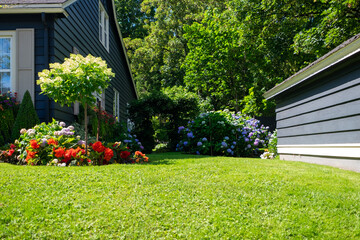 A lush green lawn between a house and shed. The blue wooden buildings have tall maple trees and rhododendron shrubs in the background. The gardens have red, orange, pink, and purple colored flowers. 