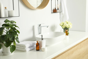 Houseplant, bath accessories, sink and roses in bathroom