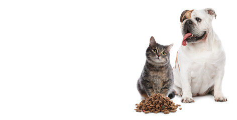 Cute cat and adorable dog on white background. Banner design with space for text
