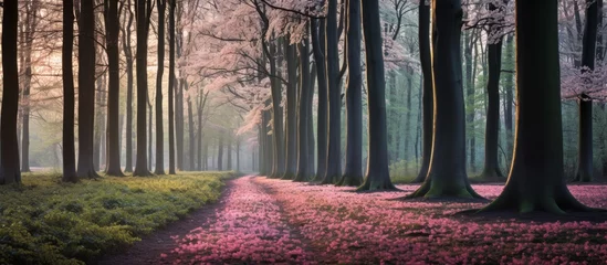 Fotobehang A serene path winds through a lush forest, with vibrant pink flowers blooming along the way © AkuAku