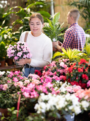 Positive girl choosing potted flower Azalea indoor plants at flower section of gardening store