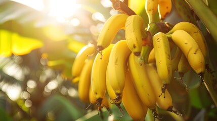 Ripe bananas bountiful clusters, tropical goodness AI Image