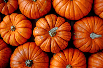 Orange pumpkins pattern top down view, colorful autumn harvest vegetable