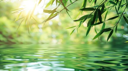 Green bamboo leaves with reflection in transparent sunny water
