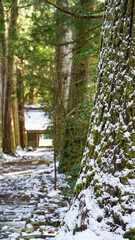 雪景色の朝の神社の風景