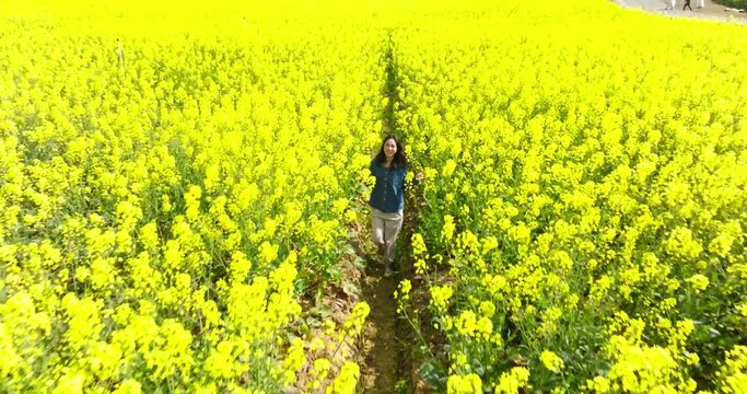happy young woman walking in the spring sunny blooming oilseed flower field at Chengdu countryside 