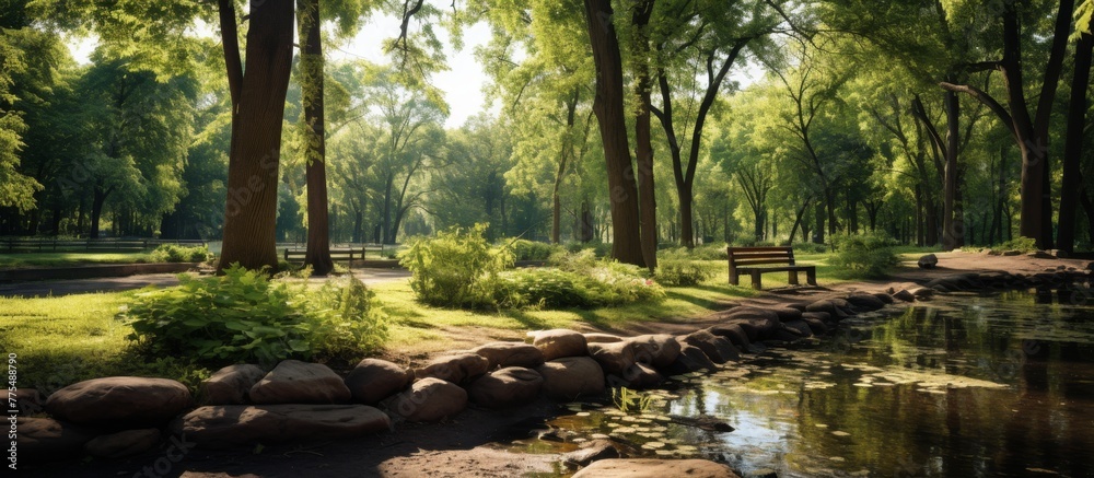 Wall mural lush green foliage including trees and grass is flourishing at the edge of a serene river