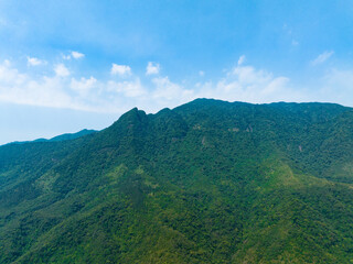 Fototapeta na wymiar Baisha Yinggeling Tropical Rainforest, Hainan, China