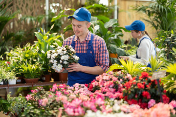 Young male salesman in uniform holding pot of azalea in flower shop