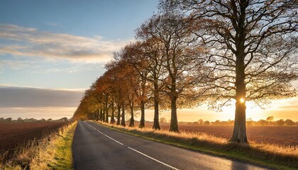 row of beech trees lining a remote country road at sunset norfolk uk - obrazy, fototapety, plakaty