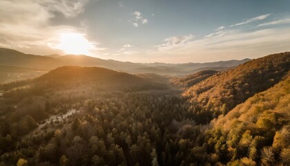aerial view of a deep forest in brdo bosnia and herzegovina