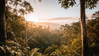 Obraz na płótnie Canvas natural outdoor beauty in the rainforest