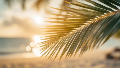 blur beautiful nature green palm leaf on a tropical beach with bokeh sun light abstract texture background