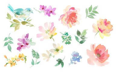 Fototapeta na wymiar Watercolor Illustration Set of Peonies, Wildflowers, and a Blue Bird for Background 