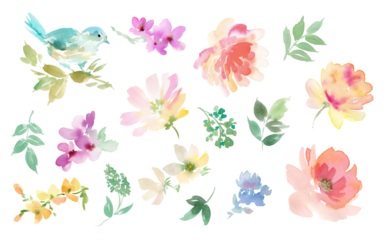 Watercolor floral clipart set with hand painted abstract Pink and orange Peonies, Wildflowers, blue bird and Leaves. Png files. Floral Illustrations for spring pattern and stationary.