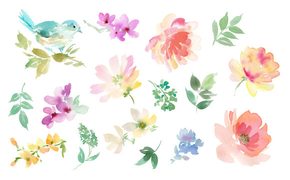 Watercolor Illustration Set of Peonies, Wildflowers, and a Blue Bird for Background	
