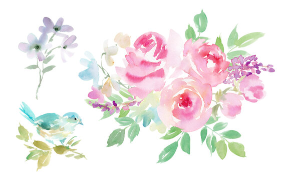 Watercolor Illustration Set of Roses, Wildflowers, and a Blue Bird for Background