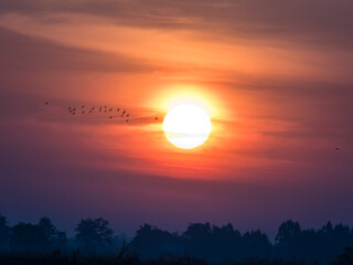 Landscape View Sunrise at Bueng Boraphet, Nakhon Sawan, Thailand